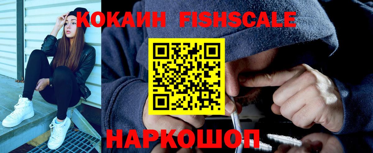 Cocaine Fish Scale Кулебаки