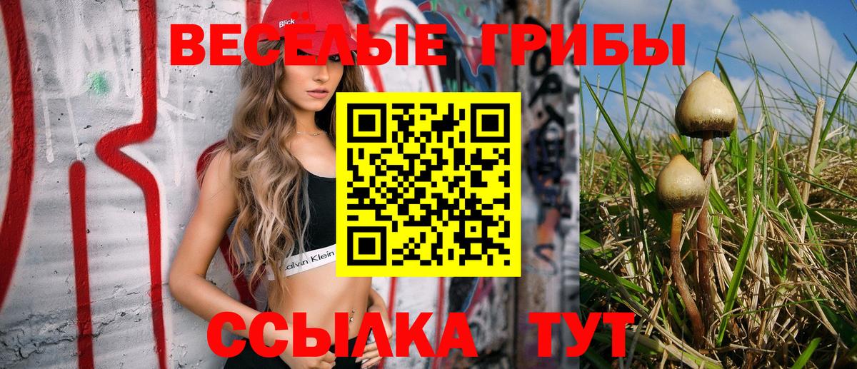 Кулебаки  Псилоцибиновые грибы ЛСД  Галлюциногенные грибы Psilocybe  купить наркотик  Вход с VPN 