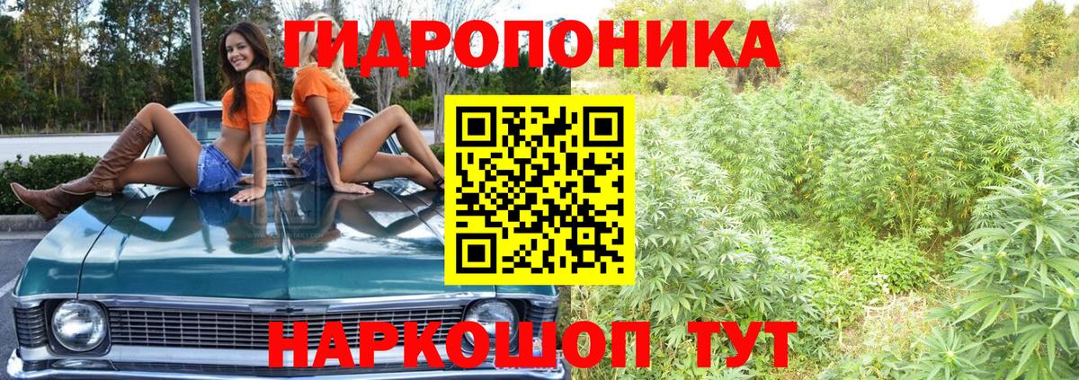 Бошки марихуана сатива  Вход с VPN  Конопля SATIVA & INDICA  МАРИХУАНА White Widow  Кулебаки 